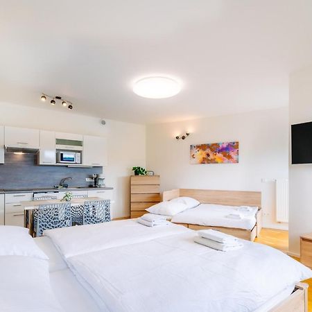 Horsky Apartman Temari 12 Klinovec Loučná pod Klínovcem المظهر الخارجي الصورة