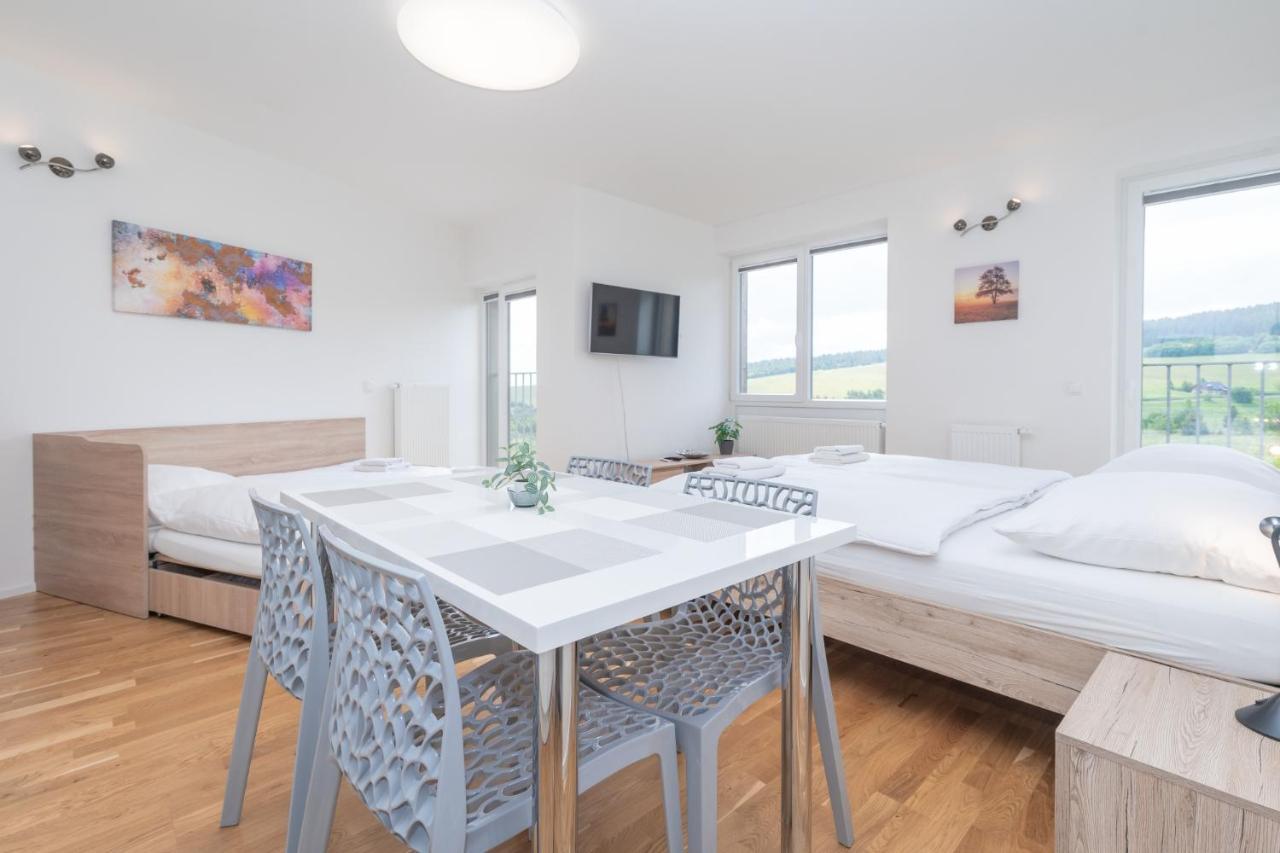 Horsky Apartman Temari 12 Klinovec Loučná pod Klínovcem المظهر الخارجي الصورة