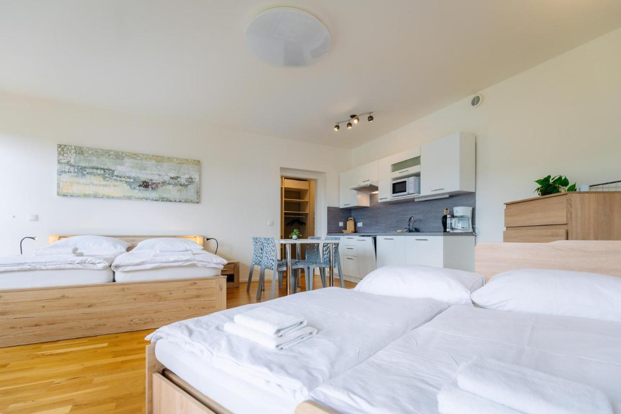 Horsky Apartman Temari 12 Klinovec Loučná pod Klínovcem المظهر الخارجي الصورة